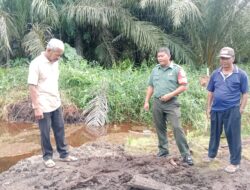 Respon Cepat, Babinsa Koramil 09/NL Tinjau Jalan Rusak Akses Warga ke Kebun