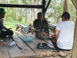 Babinsa Koramil 05/BD Himbau Keselamatan Kerja Petani Karet Melalui Komsos