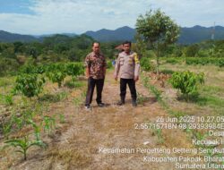 Pemanfaatan Pekarangan Pangan Bergizi Dan Lahan Produktif Dukung Ketahanan Pangan Di Kabupaten Pakpak Bharat.