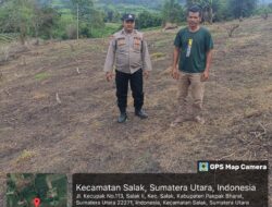 Tanaman Tumpang Sari Dukung Program Ketahanan Pangan Di Kabupaten Pakpak Bharat.