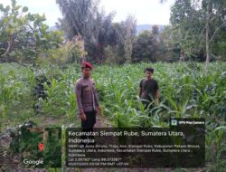 Polres Pakpak Bharat Dorong Semangat Masyarakat untuk Mendukung Dan Ambil Bagian Dalam Program Ketapang