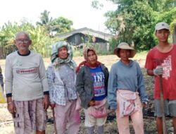 Bhabinkamtibmas Kota Bangun Beri Pendampingan Warga Tanam Jagung, Dukung Ketahanan Pangan