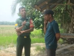 Babinsa Koramil 09/NL Laksanakan Komsos Bersama Ketua Kelompok Tani