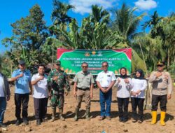 Koramil 05/BD Hadiri Kegiatan Penanaman Jagung Kuartal lll