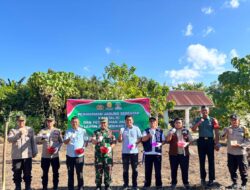 Danramil 06/MB Bersinergi Dengan Polri, Hadiri Penanaman Jagung Serentak