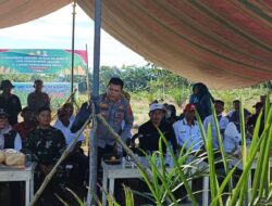 Babinsa Koramil 04/LB Dukung Ketahanan Pangan Melalui Penanaman Jagung Serentak Kuartal III