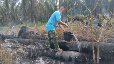 Babinsa Terjun Langsung Padamkan Kebakaran Lahan di Wilayah Binaan