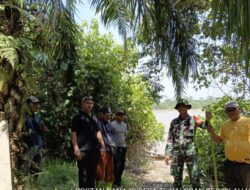 Babinsa Koramil 09/NL Dampingi Poktan Sumber Raharjo Pantau Pembangunan OPLAH Tahap II