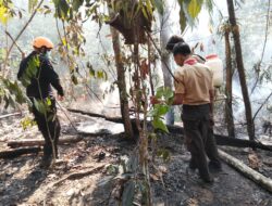 Atensi Dansat Brimobdasu Batalyon C Pelopor Polda Sumut Berhasil Kendalikan Titik Api Di Kabupaten Palas.