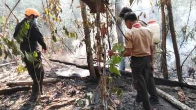 Atensi Dansat Brimobdasu Batalyon C Pelopor Polda Sumut Berhasil Kendalikan Titik Api Di Kabupaten Palas.
