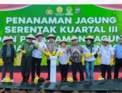 Polda Sumut Tanam Jagung Serentak, Targetkan 24 Ribu Ton Demi Swasembada Pangan 2025