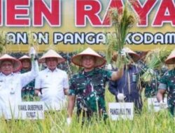 Panglima TNI Panen Raya Padi di Lahan Ketahanan Padi Kodam I/BB di Deli Serdang
