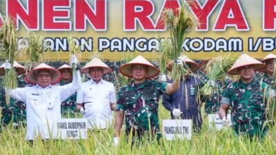 Panglima TNI Panen Raya Padi di Lahan Ketahanan Padi Kodam I/BB di Deli Serdang