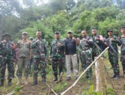 Dandim 0212/Tapsel Pimpin Tim Patroli,Temukan Ladang Ganja 3 Hektar
