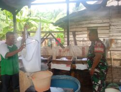 Babinsa Koramil 09/NL Kunjungi Usaha Tahu Warga Binaan di Desa Kampung Bilah