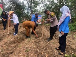 Perkuat Ketahanan Pangan Nasional, Polsek Sibolga Sambas Laksanakan Penanaman Jagung