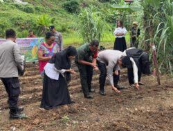 Penanaman Jagung Ketahanan Pangan Polsek Sibolga Selatan Dukung Program ASTA CITA Presiden RI