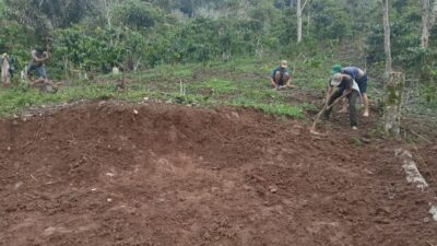 Pembangunan Tower TELKOMSEL Tahap Awal di Mulai di Desa Sinar Pagi
