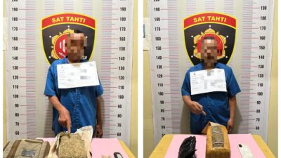 2 pengedar Ganja Ditangkap Polres Toba