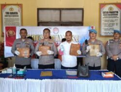 Polres Padang Lawas Ungkap Kasus Tanaman Ganja 44 Kg.