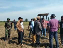 Babinsa Koramil 03/SB Hadiri Survei Lahan Brigade Pangan di Desa Sei Penggantungan
