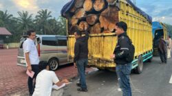 Tim Gabungan Deninteldam I/BB dan BAIS TNI Amankan Dua Truk Pengangkut Kayu Ilegal di Dairi