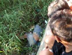 Penemuan Mayat di Simpang Titipapan Hebohkan Warga, Identitas Korban Belum Diketahui