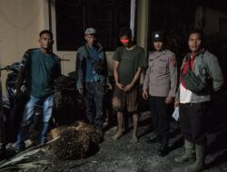 Diduga Curi Empat Tandan Sawit Milik Perusahaan, Seorang Pemuda Diamankan di Pinangsori