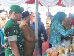 Dukung Pemberdayaan Masyarakat, Koramil 01/AK Hadiri Evaluasi DPTA PKK Tingkat Provinsi di Desa Damuli Pekan