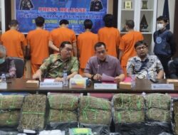BNNP Sumut Ungkap Lima Kasus Narkotika, Sita 141 Kilogram Ganja hingga Sabu, 10 Tersangka Diamankan