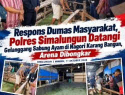 Polsek Gunung Malela Tindak Dumas Sabung Ayam, Arena Dibongkar