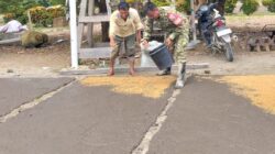 Babinsa Koramil 02/Tanjung Leidong Dampingi Petani