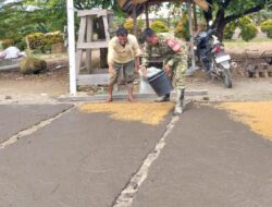 Babinsa Koramil 02/Tanjung Leidong Dampingi Petani